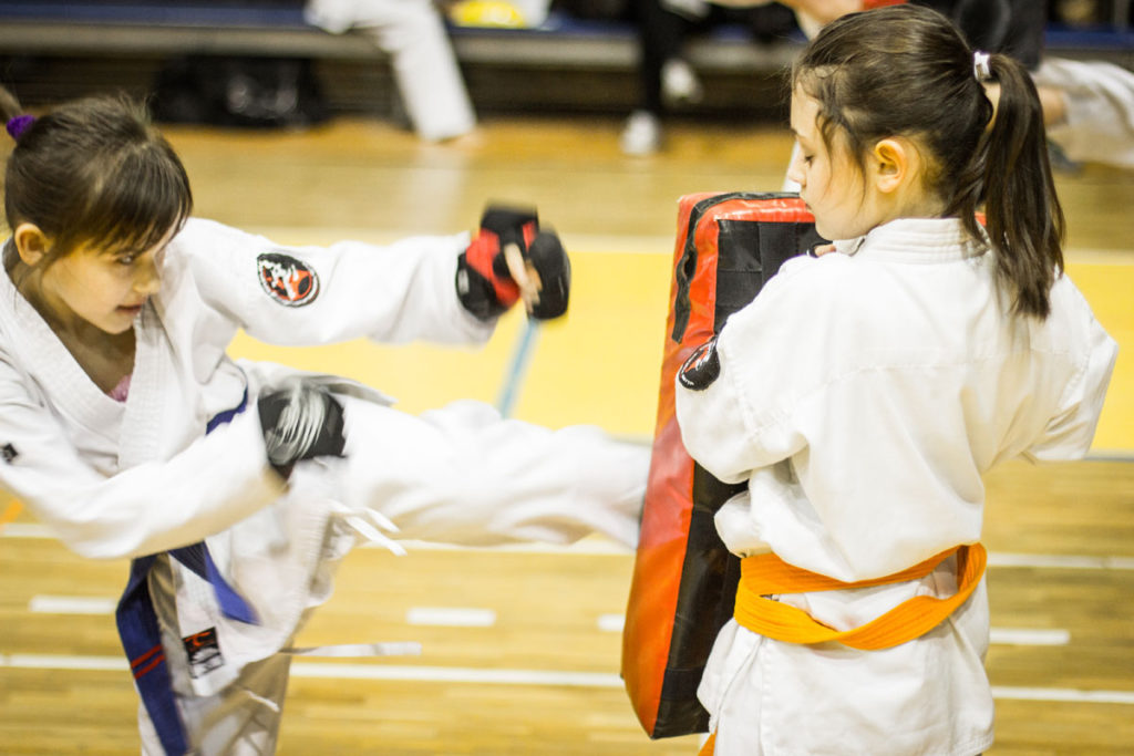 Karate Kyokushin Warszawa - Treningi MASTERS DOJO